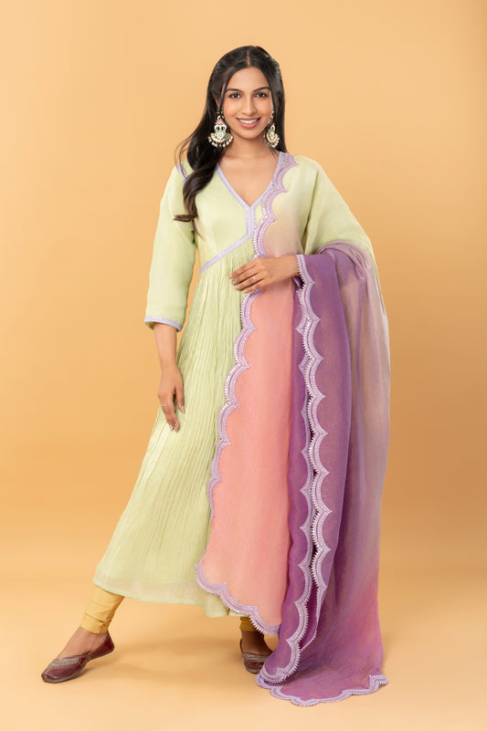 Soft Zari Tissue Anarkali