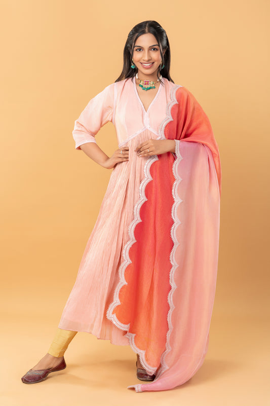 Soft Zari Tissue Anarkali