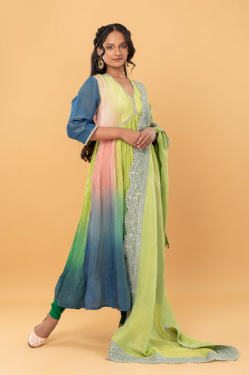 Soft Zari Tissue Anarkali